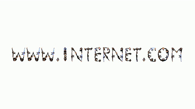 高清:WWW.INTERNET.COM视频素材