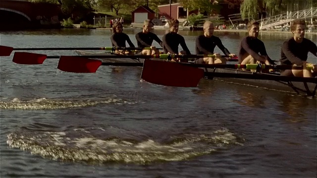 中镜头淘金队赛艇在查尔斯河贝壳视频素材