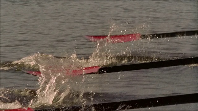 中等射击赛艇队在查尔斯河赛艇/摇到桨在水中视频素材