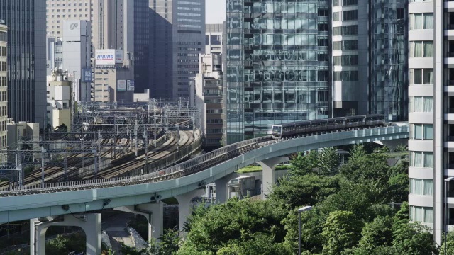 从Shinbashi Terminal经过Twin Park Towers Apartments / Tokyo, Tokyo-to, Japan之间的Shiodome Sio Site建筑之间完全计算机化的百合果线视频素材