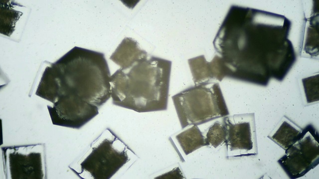 盐在显微镜下结晶。视频素材