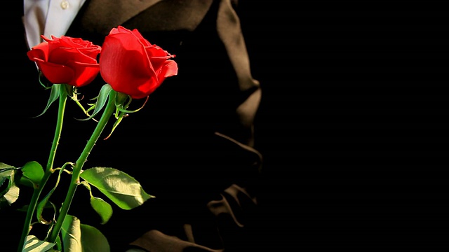 穿西装的男人和两朵红玫瑰视频下载