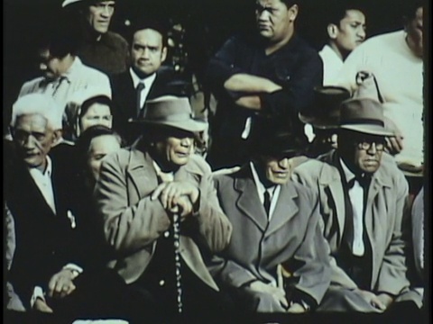 1955 MONTAGE CU WS MS传统庆典，人们互相问候，长者坐在一起，人群观看/新西兰/音频视频素材