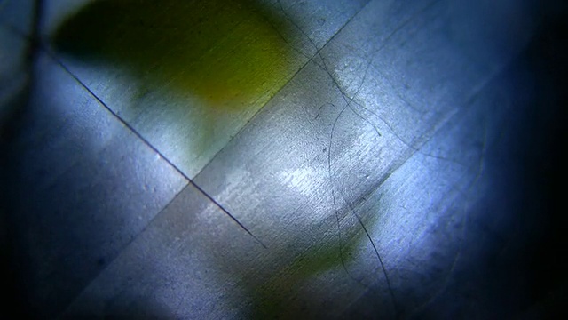 HD 1080i粗粒通过玻璃纸皮肤与树叶视频素材