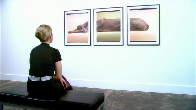 多莉背后的女人看三板打印的魏玛马纳由威廉威格曼在画廊视频下载
