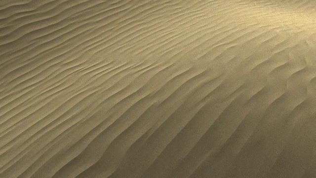 沙漠的沙丘视频素材