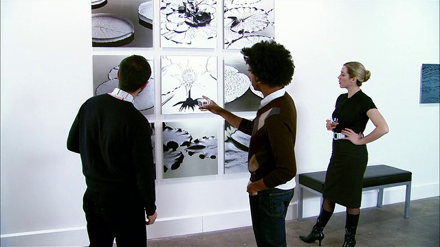 在画廊开幕时，多莉围绕着三个人看和谈论墙上的艺术品视频下载