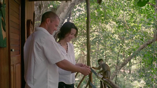 在亚马逊/巴西，一对夫妇正在阳台上喂养普通的松鼠猴视频素材