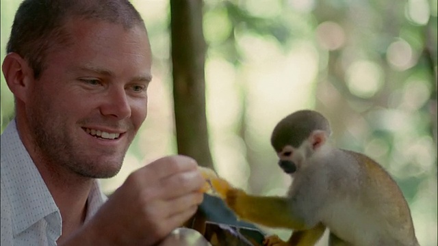 在亚马逊/巴西，一名男子正在给普通松鼠猴喂食橙子片视频素材
