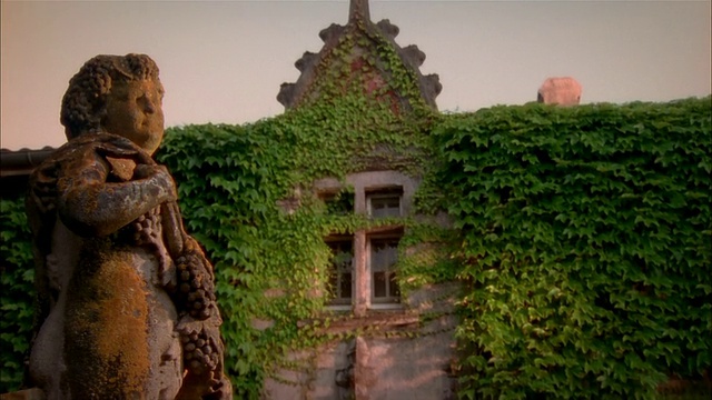多莉从雕像后面的花园，在Chateau La Mission hautbrion / Pessac的常春藤覆盖的墙壁前视频素材