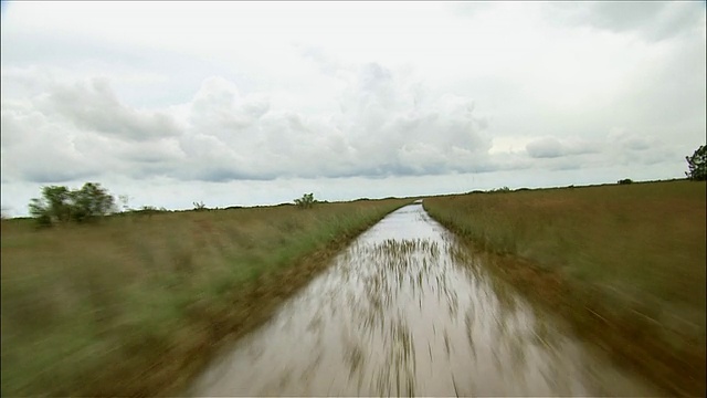 在阴天/佛罗里达大沼泽地空中船的观点通过沼泽地区视频下载