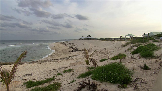 宽拍海浪拍打海滩/横跨海岸线/阿巴科，巴哈马群岛视频下载