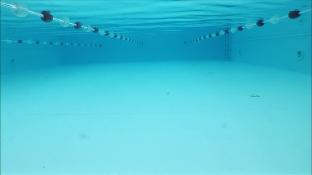 水下视角游泳在泳道上视频下载