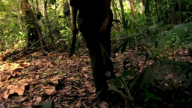 低角度跟踪拍摄的女人走在热带雨林/巴西亚马逊视频下载
