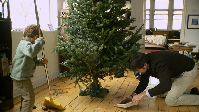 家庭准备圣诞树，父亲和儿子(2-3)清洁圣诞树周围的地板/纽约，纽约，美国视频下载