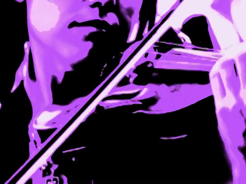 在拉文德室外拉小提琴的女孩视频素材