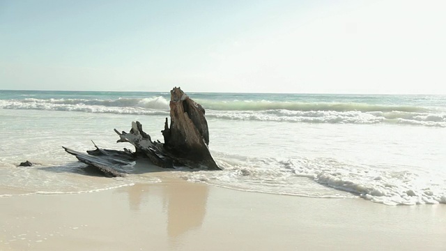 浮木在沙滩上冲浪视频素材