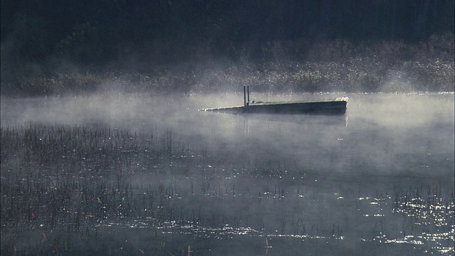 在美国缅因州的Mount Desert Island沼泽湿地地区，薄雾在一个沉没的码头上移动视频下载