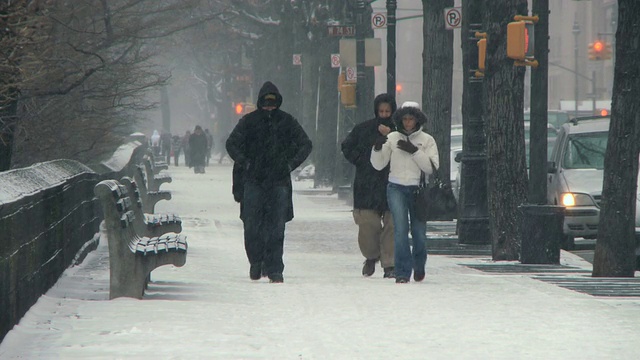 美国纽约，人们在中央公园的雪中行走视频素材
