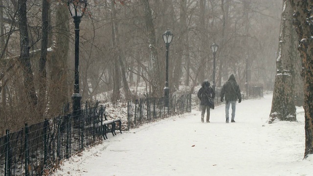 WS夫妇在中央公园散步在暴风雪/纽约，美国纽约视频素材