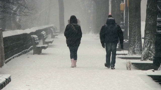 雪中漫步在中央公园西部的人们/纽约，美国视频素材