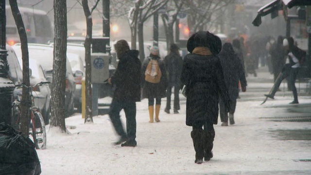 雪中行走在人行道上的人们/纽约，美国视频下载