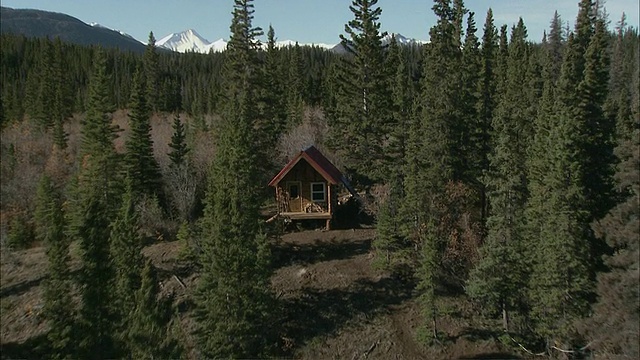AERIAL小木屋被常青林包围的湖边/阿拉斯加，美国视频下载