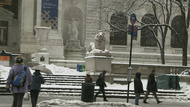 美国纽约，纽约市，纽约公共图书馆冬季WS入口视频素材