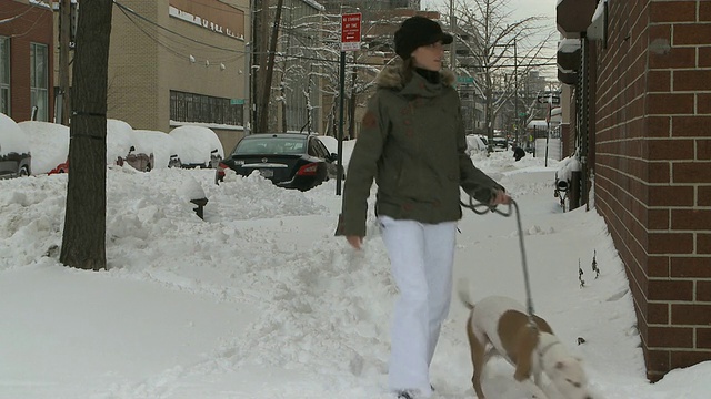 女人和狗在雪地上散步/纽约，纽约，美国视频素材