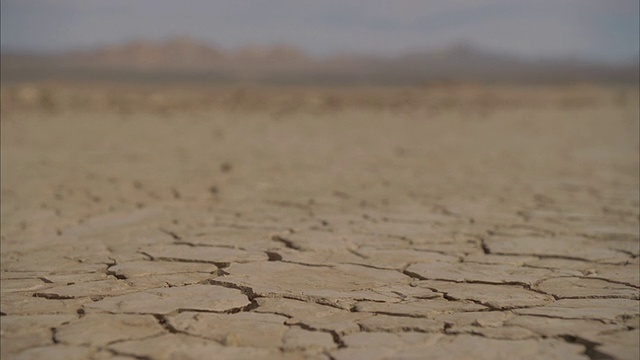 WS景观与裂缝干旱沙漠/莫哈韦，美国加州视频素材