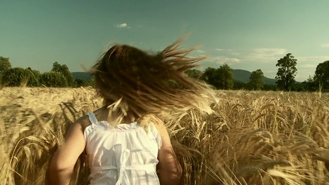 高清慢动作:在小麦中奔跑视频素材