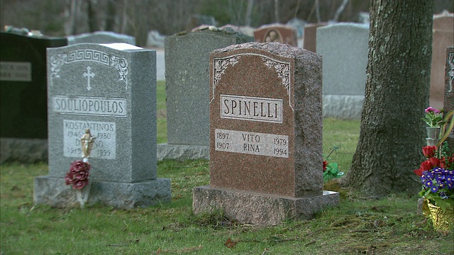美国马萨诸塞州昆西公墓的斯皮内利家族的ZO墓碑视频素材