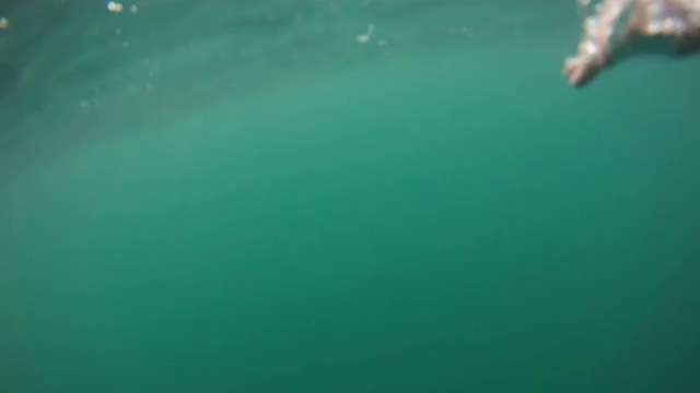 游泳水下视野-可循环视频下载