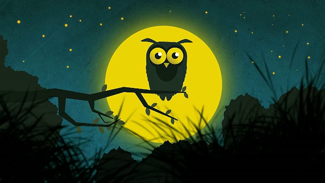 卡通猫头鹰在星夜2视频下载