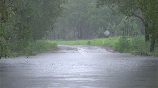 澳大利亚北部被洪水淹没的街道上，雨水快速移动视频下载