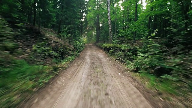 在森林道路上驾驶视频素材