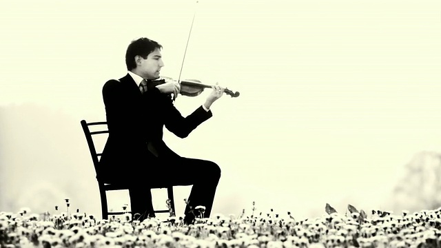 HD多莉:在大自然中演奏小提琴视频下载