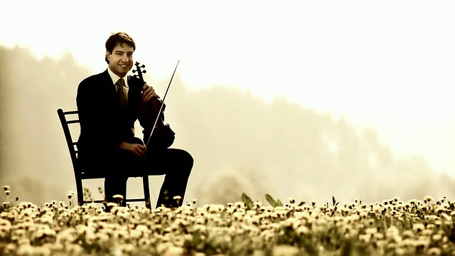 高清多莉:小提琴家的肖像视频下载