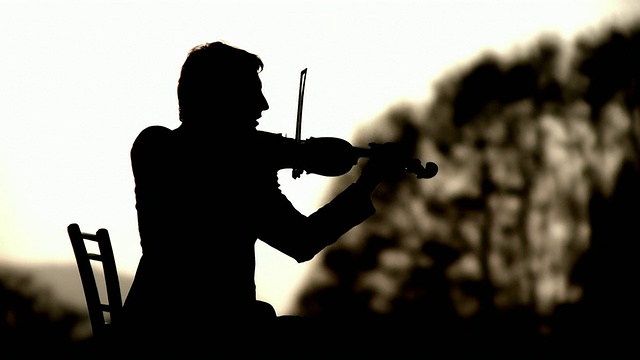 一个小提琴家的剪影视频下载