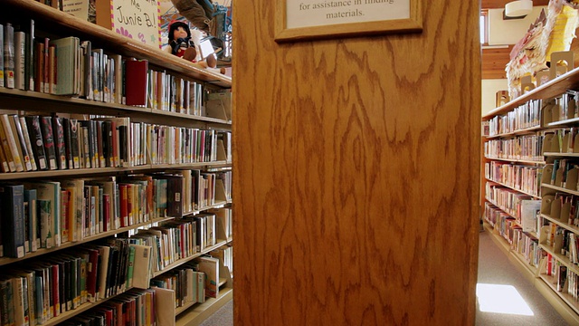 在美国亚利桑那州Flagstaff图书馆的书架上寻找书籍的女孩视频素材