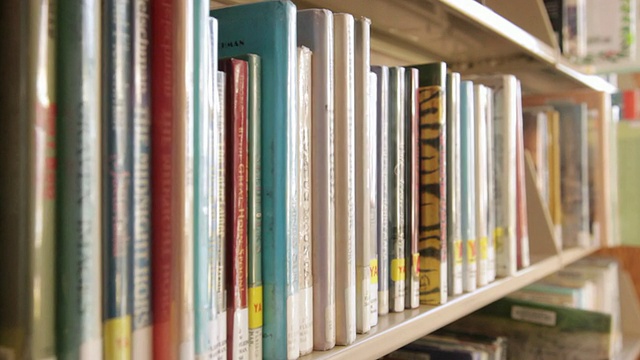 美国亚利桑那州弗拉格斯塔夫图书馆书架上的书籍视频素材