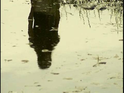 广角女子站在池塘边的倒影视频素材