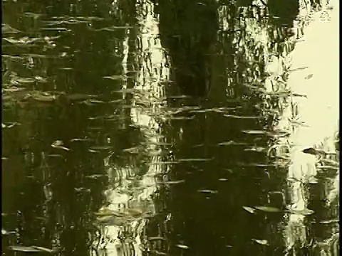 广角女子在池塘边行走的倒影视频素材