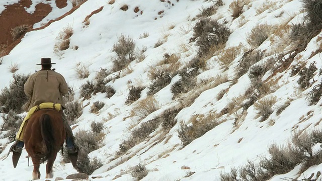 TS牛仔骑在马背上沿着白雪覆盖的山坡与狗/壳牌，怀俄明州，美国视频下载