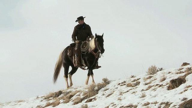 TS牛仔骑在雪山上的马与狗跟随/壳牌，怀俄明州，美国视频下载