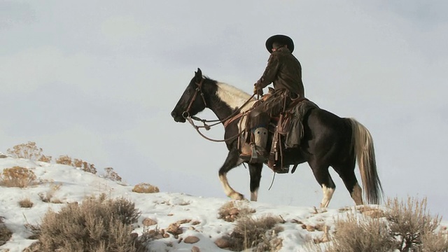 牛仔骑着马沿着积雪的山脊，狗跟随在后面/壳牌，怀俄明州，美国视频下载