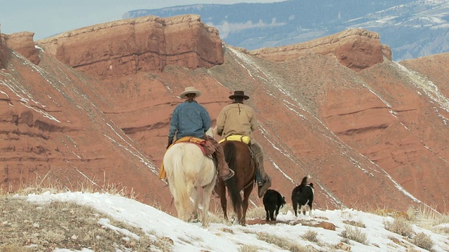 TS女牛仔和骑在雪山上的牛仔与狗/壳牌，怀俄明州，美国视频下载