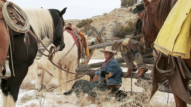 女牛仔和牛仔休息在栅栏与马和狗/壳牌，怀俄明州，美国视频下载