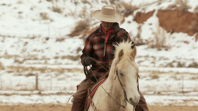 MS Cowgirl骑马小跑穿过田野/壳牌，怀俄明州，美国视频下载