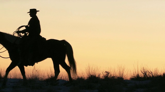 牛仔骑在山脊上的马在夕阳下的剪影/壳牌，怀俄明州，美国视频下载